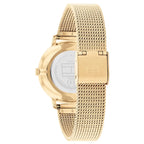 Montre Tommy Hilfiger Pippa pour femme 1782728