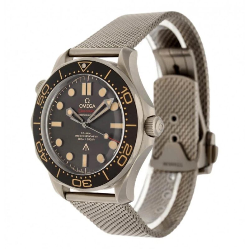 Seamaster CO‑AXIAL MASTER CHRONOMÈTRE 42 MM – Image 2
