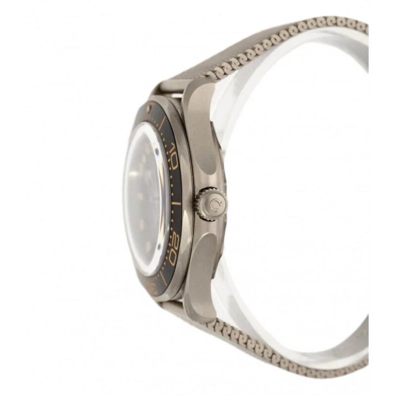 Seamaster CO‑AXIAL MASTER CHRONOMÈTRE 42 MM – Image 3